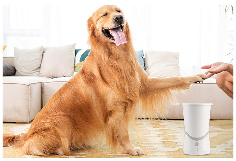 Automatic Paw Cleaner